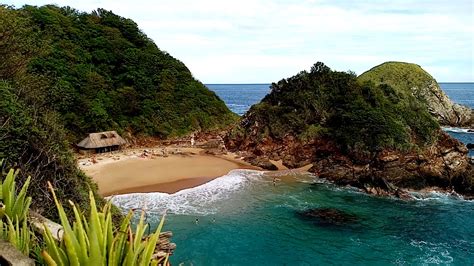 zipolite twitter|playa del amor zipolite.